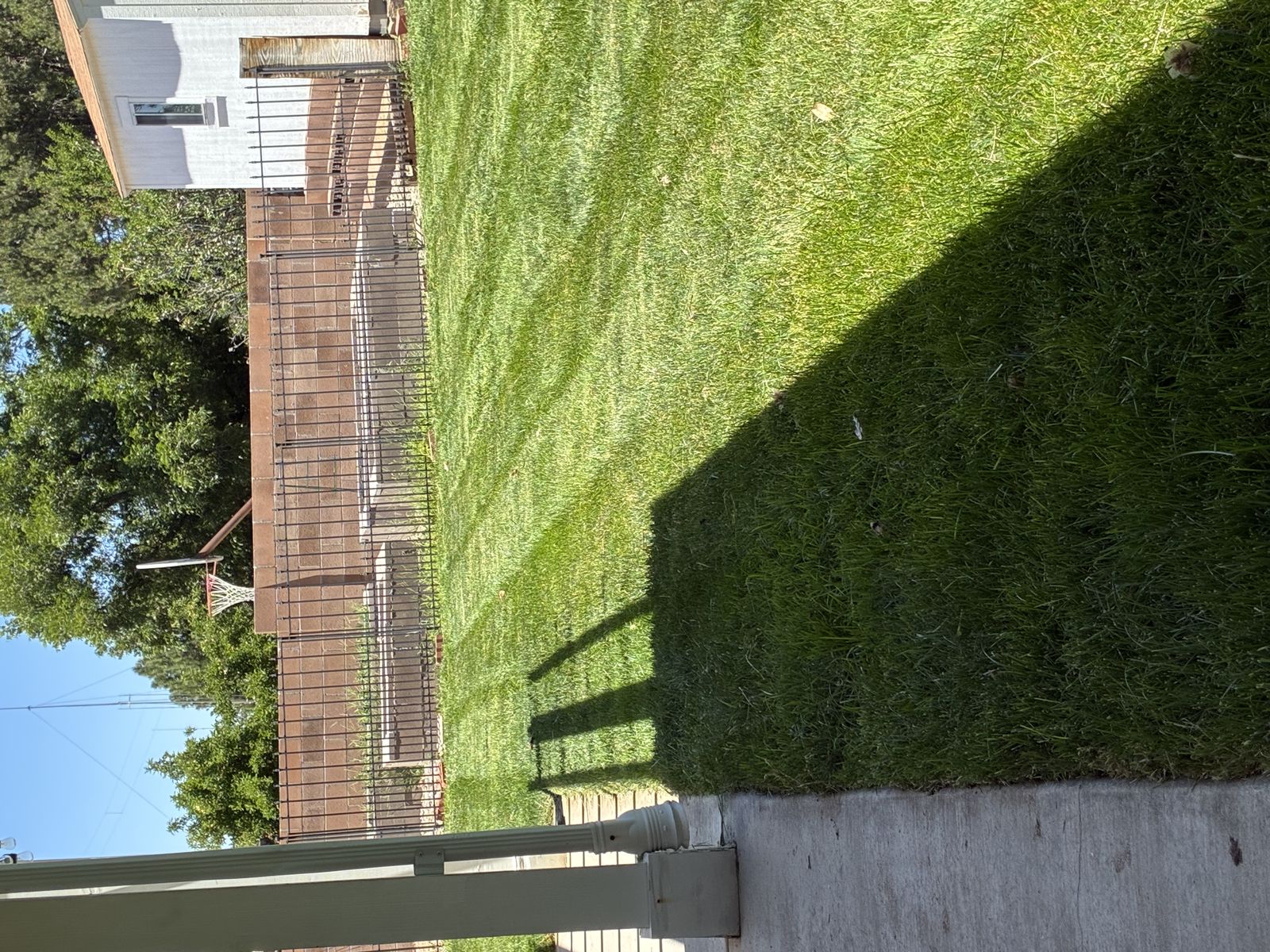 Striped freshly mowed lawn