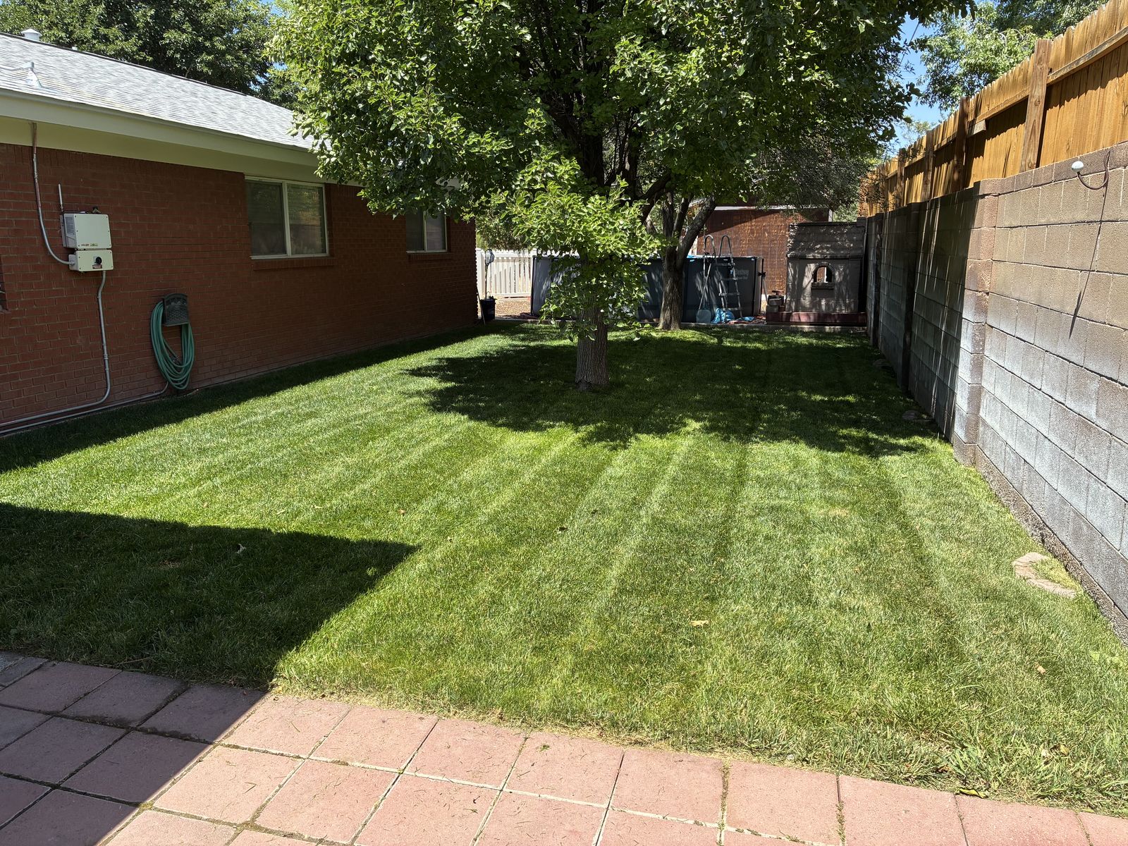 New sod lawn in a fenced backyard